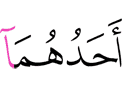 один из них –