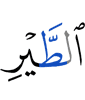 птицы,