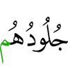 их кожи,